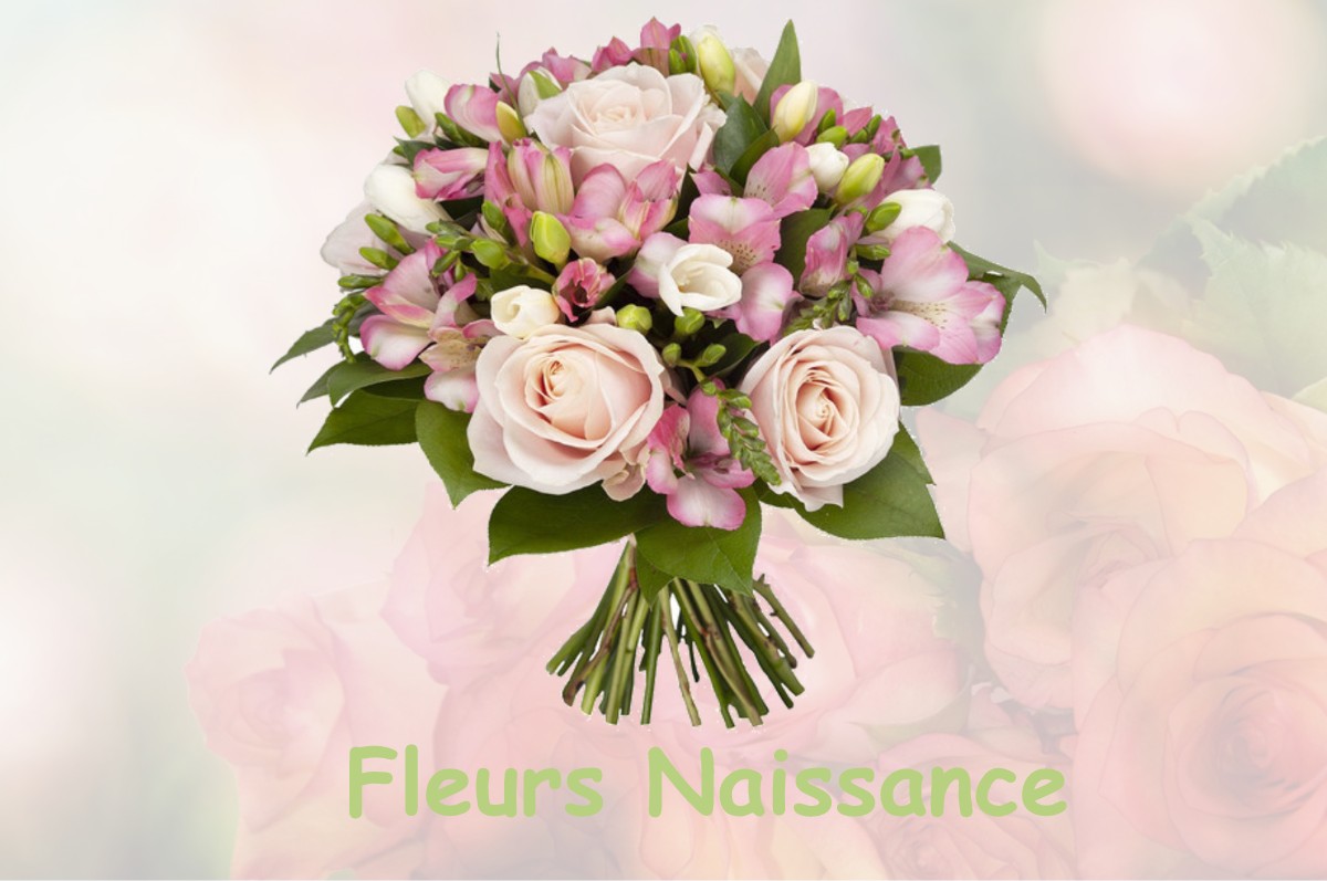 fleurs naissance VAULX-MILIEU