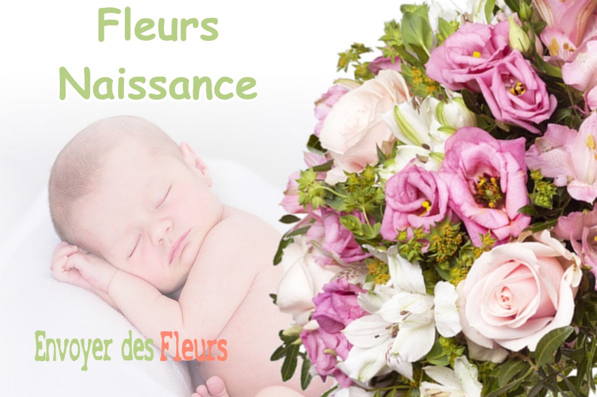 lIVRAISON FLEURS NAISSANCE à VAULX-MILIEU